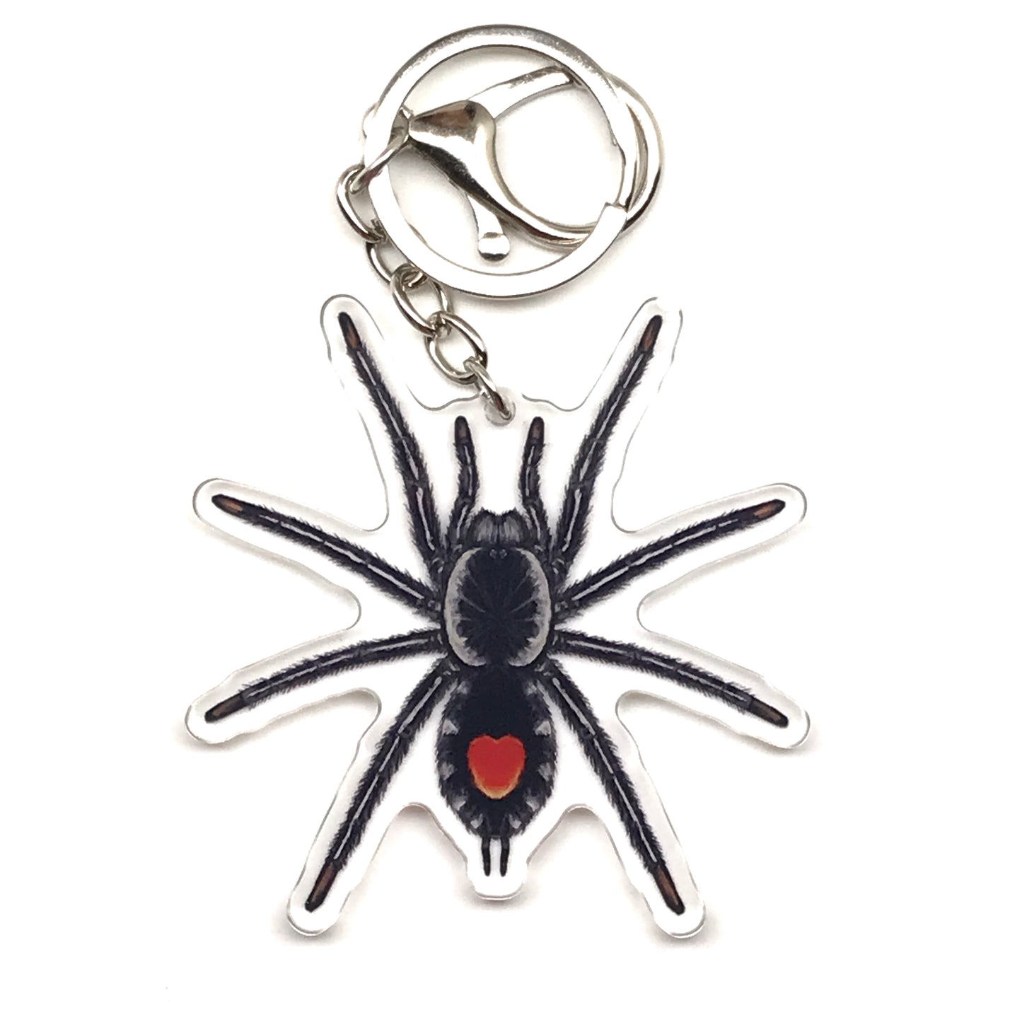 Redback Phantom Tarantula keychain with acrylic charm featuring Cyriocosmus Hoeferi, perfect for accessorizing or collection.