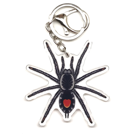 Redback Phantom Tarantula Keychain, Cyriocosmus Hoeferi Acrylic Charm from The Silk Ranch