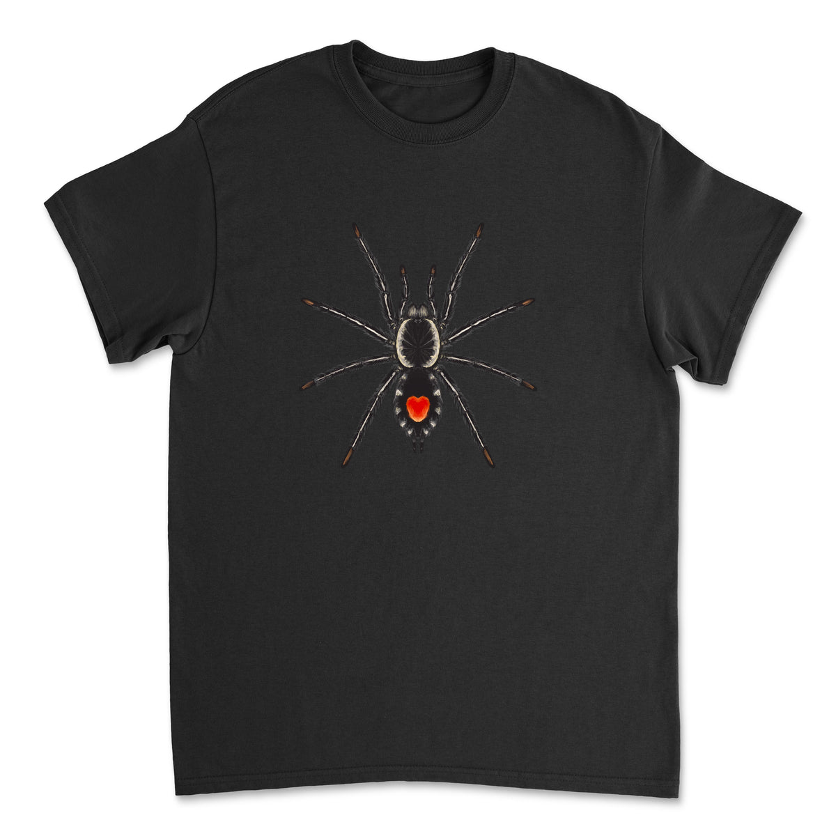 Redback Phantom Tarantula Cyriocosmus hoeferi art on a black Gildan T-shirt, detailed spider illustration by Mingo Art.