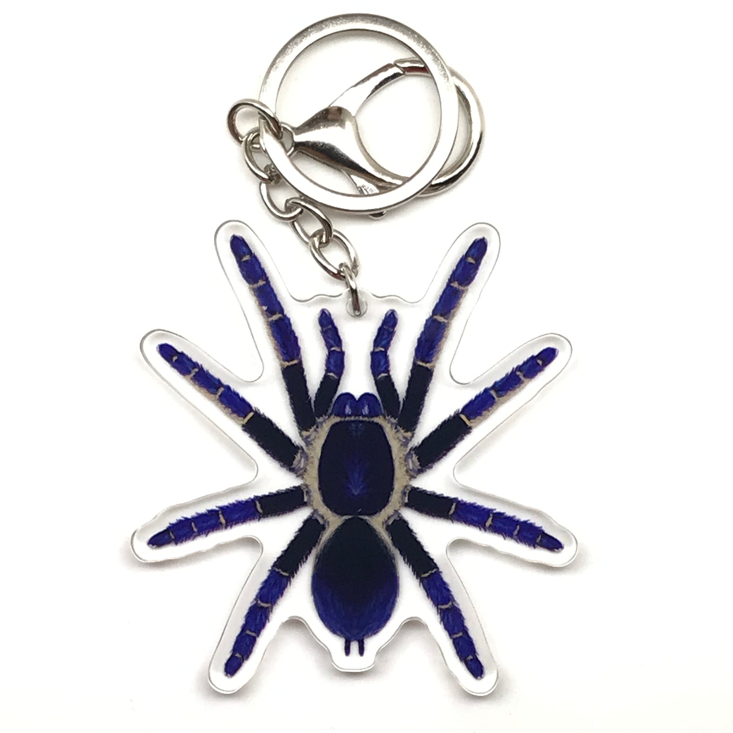 Ranong Blue Earth Tiger Tarantula keychain by The Silk Ranch, acrylic charm featuring detailed blue tarantula design.