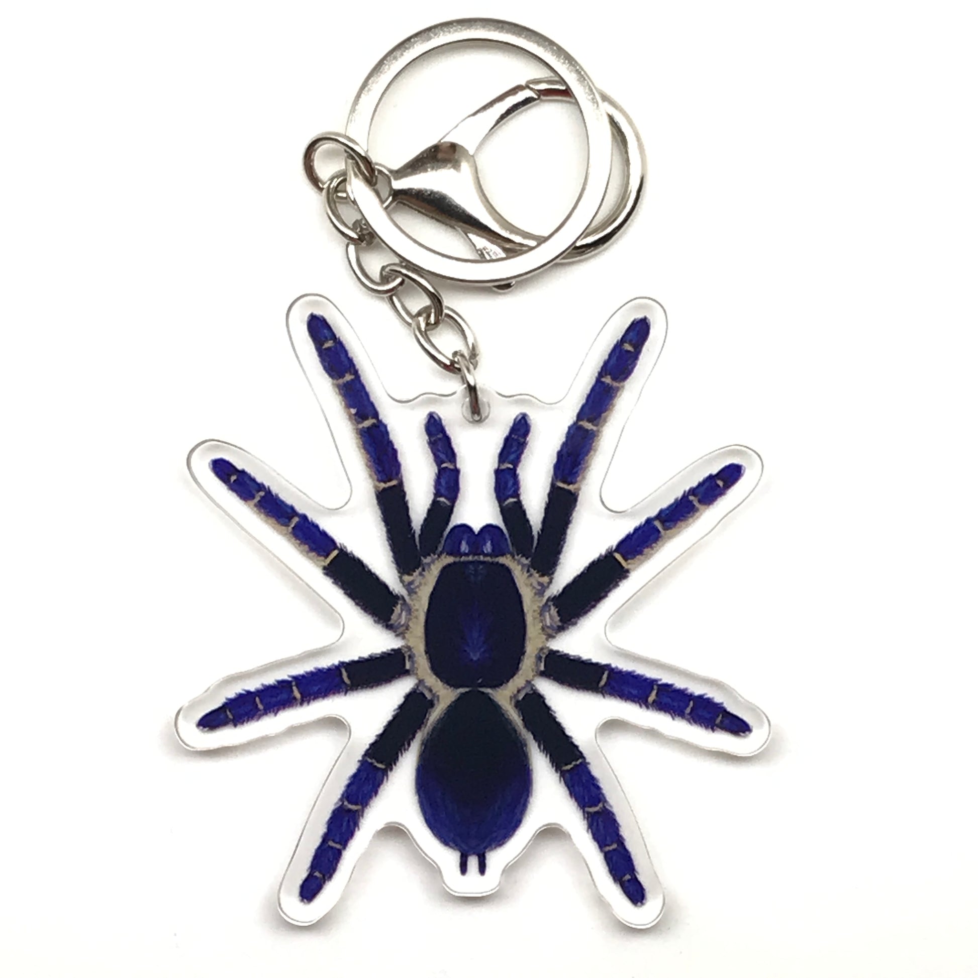 Ranong Blue Earth Tiger Tarantula keychain by The Silk Ranch, acrylic charm featuring detailed blue tarantula design.