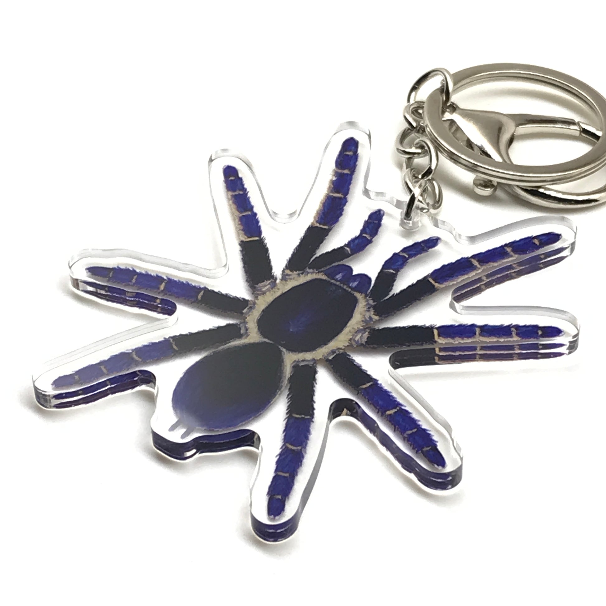 Ranong Blue Earth Tiger Tarantula keychain by The Silk Ranch, acrylic charm featuring detailed blue tarantula design.