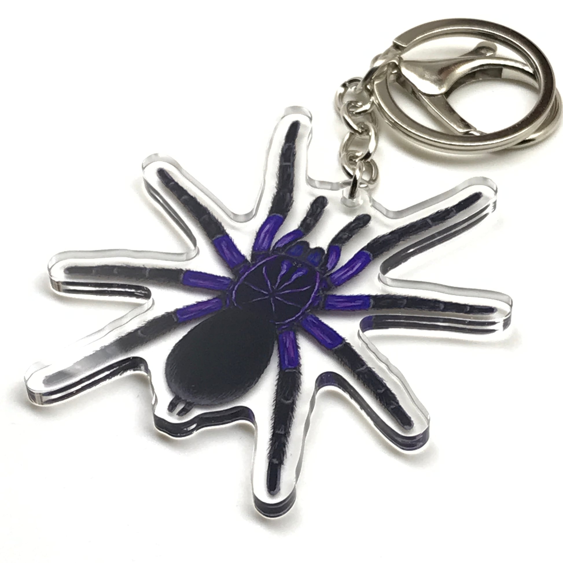 Cascada Birdeater Tarantula Keychain, Pamphobeteus Sp. Cascada Acrylic Charm from The Silk Ranch