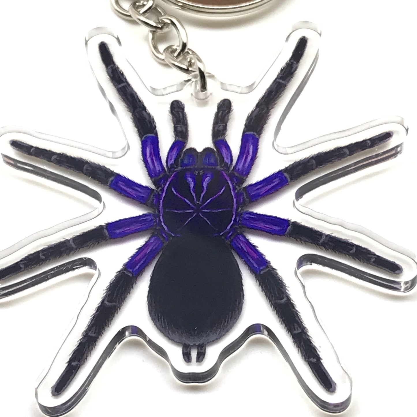 Cascada Birdeater Tarantula Keychain, Pamphobeteus Sp. Cascada Acrylic Charm from The Silk Ranch