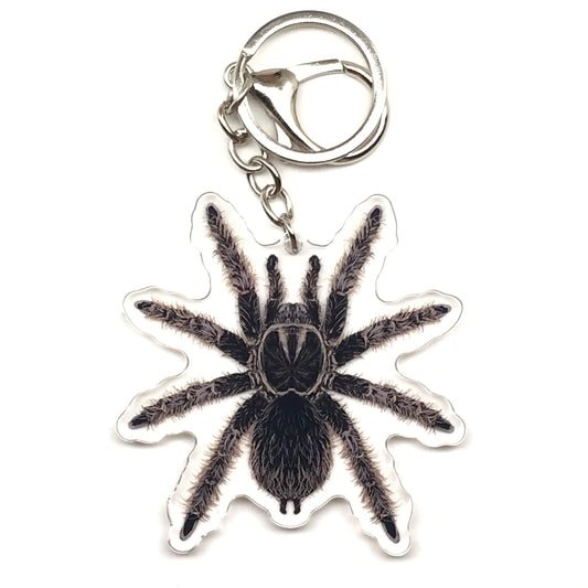 Curly Hair Tarantula Keychain, Tliltocatl Albopilosus Acrylic Charm from The Silk Ranch