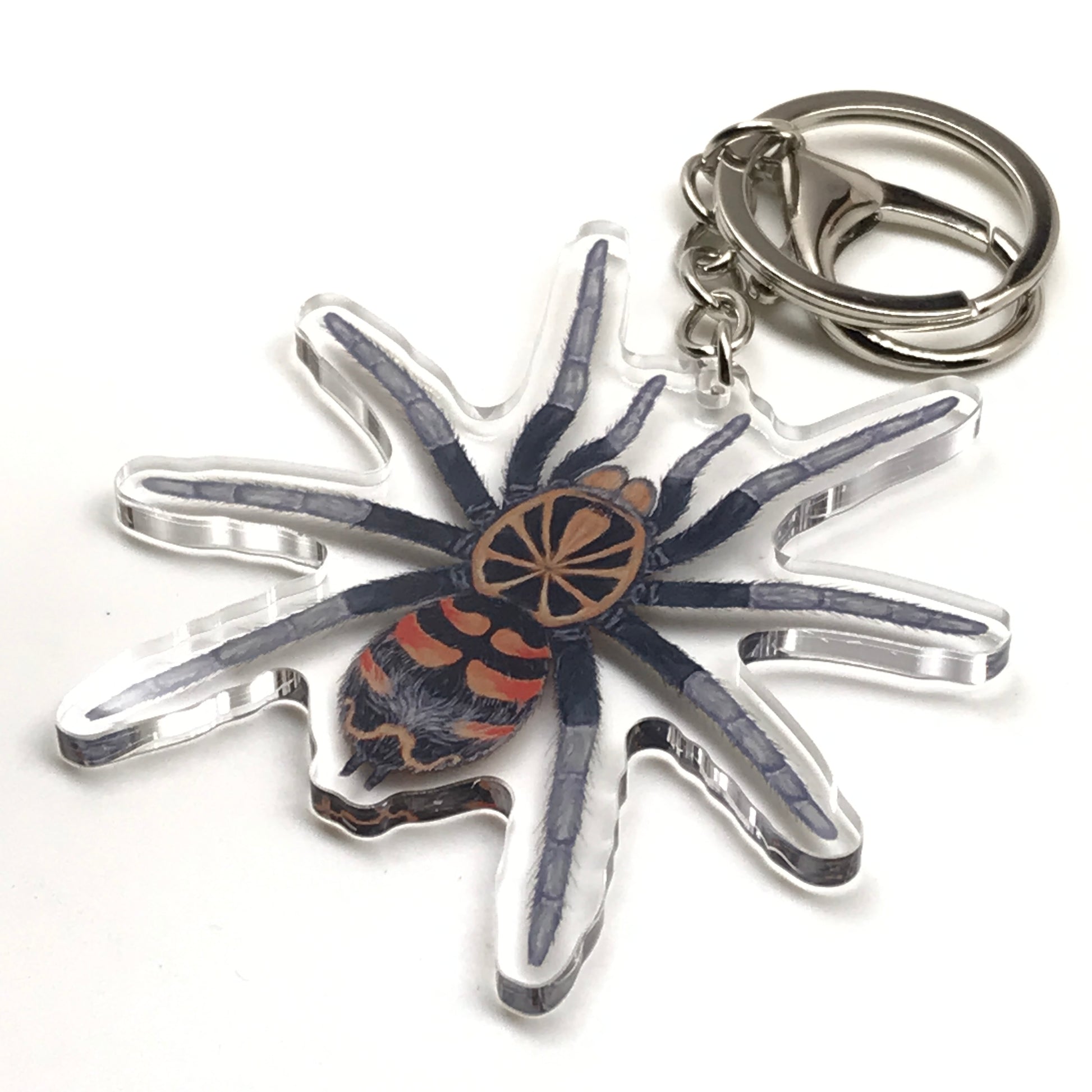 Ecuadorian Crowned Tarantula keychain with acrylic charm featuring a detailed Hapalopus Planetearth spider design.