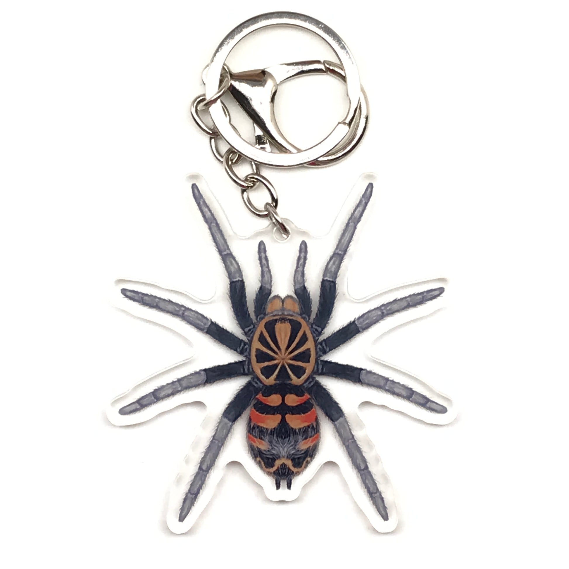 Ecuadorian Crowned Tarantula Hapalopus Planetearth acrylic keychain charm with detailed spider illustration on clear acrylic.