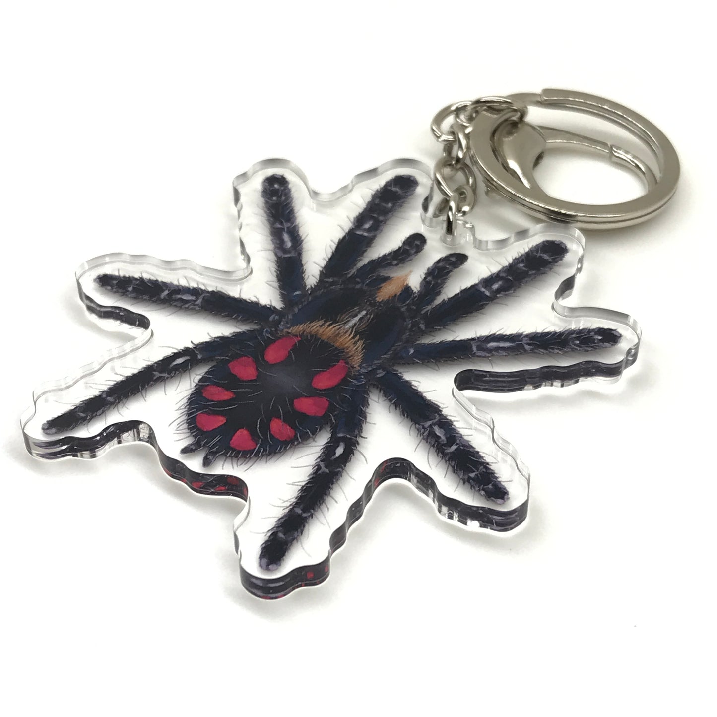 Pink Punk Jewel Tarantula Keychain, Typhochlaena Costae Acrylic Charm from The Silk Ranch