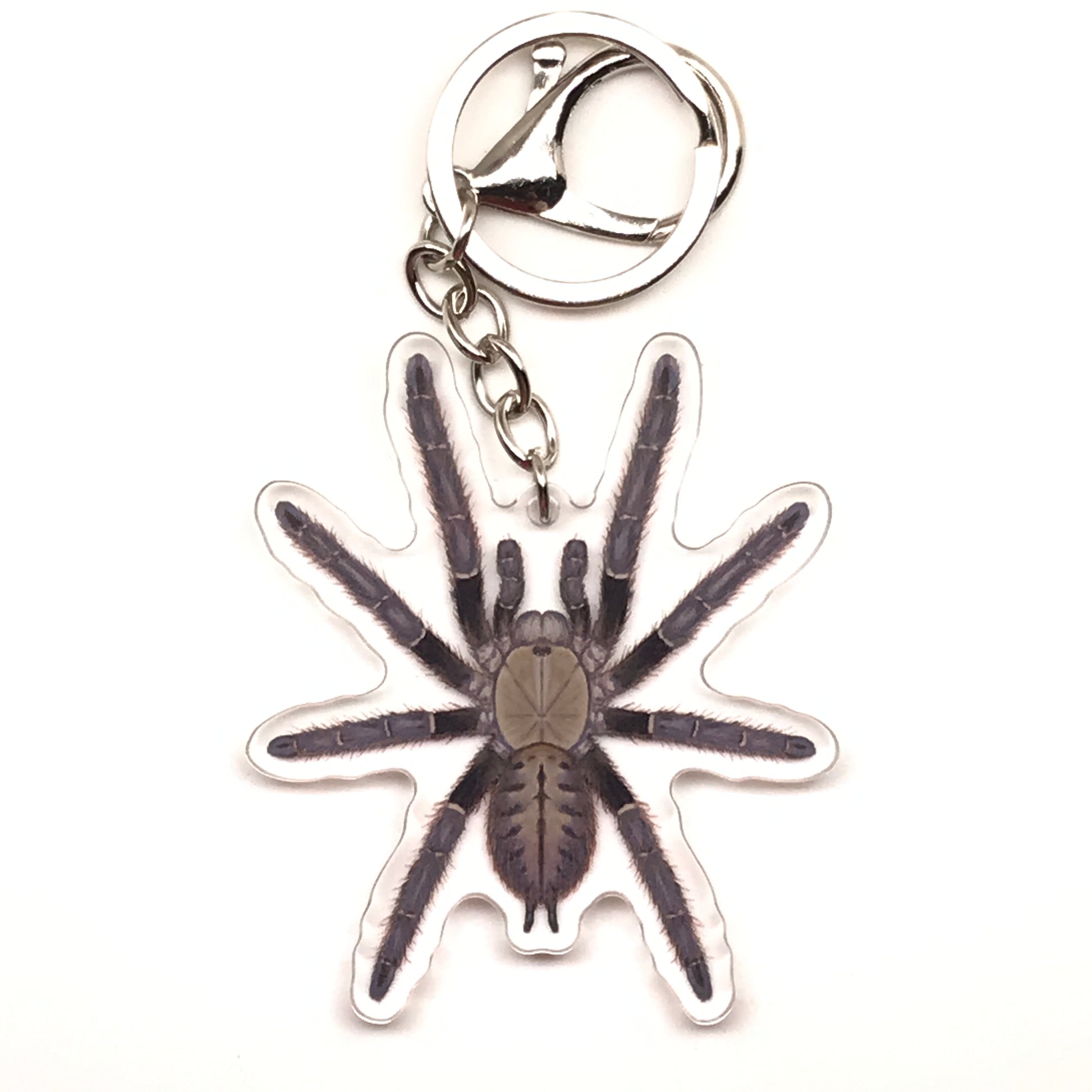 Malaysian Earth Tiger Tarantula Omothymus schiodtei acrylic keychain charm by The Silk Ranch, featuring detailed spider design.