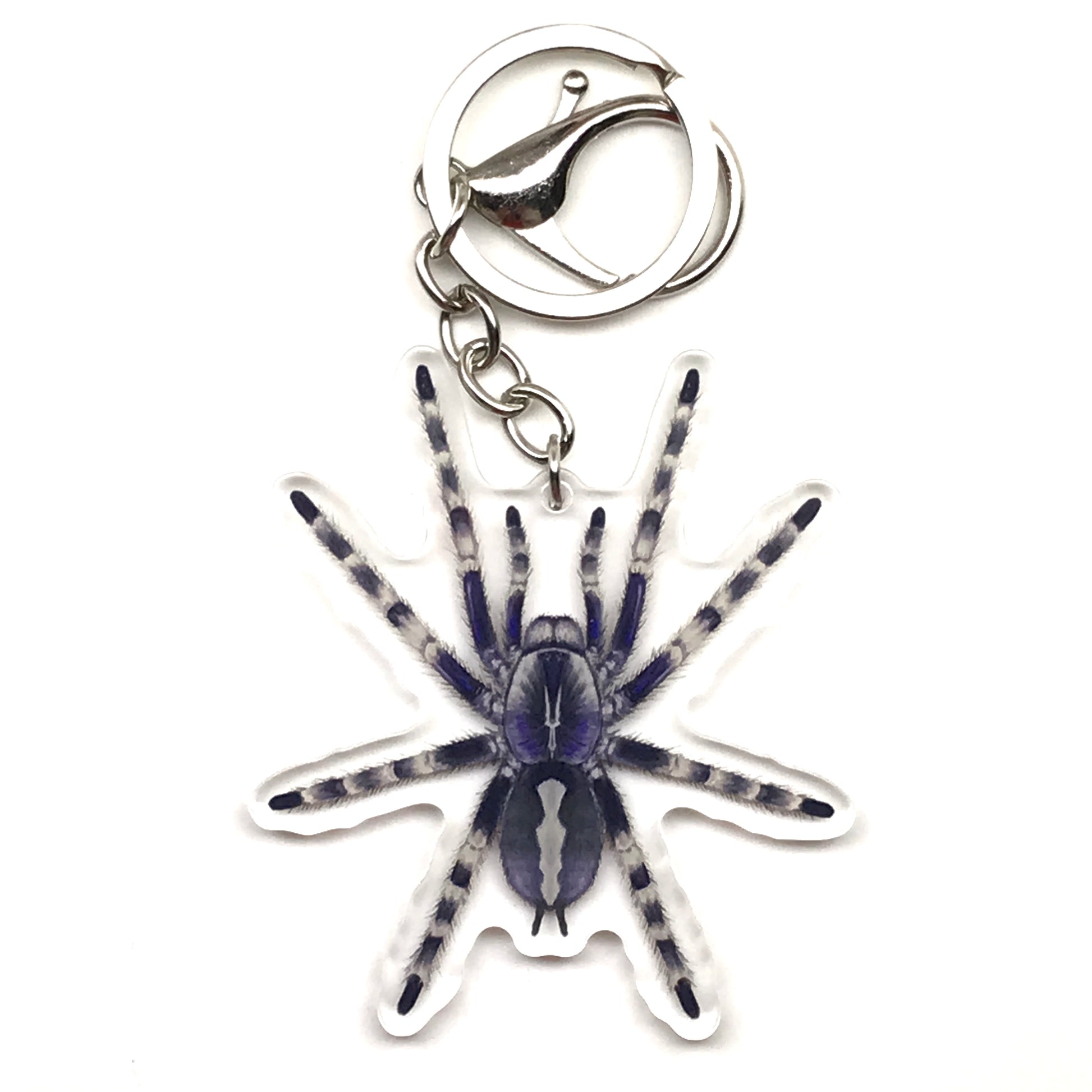 Salem Ornamental Tarantula keychain featuring Poecilotheria Formosa acrylic charm from The Silk Ranch.