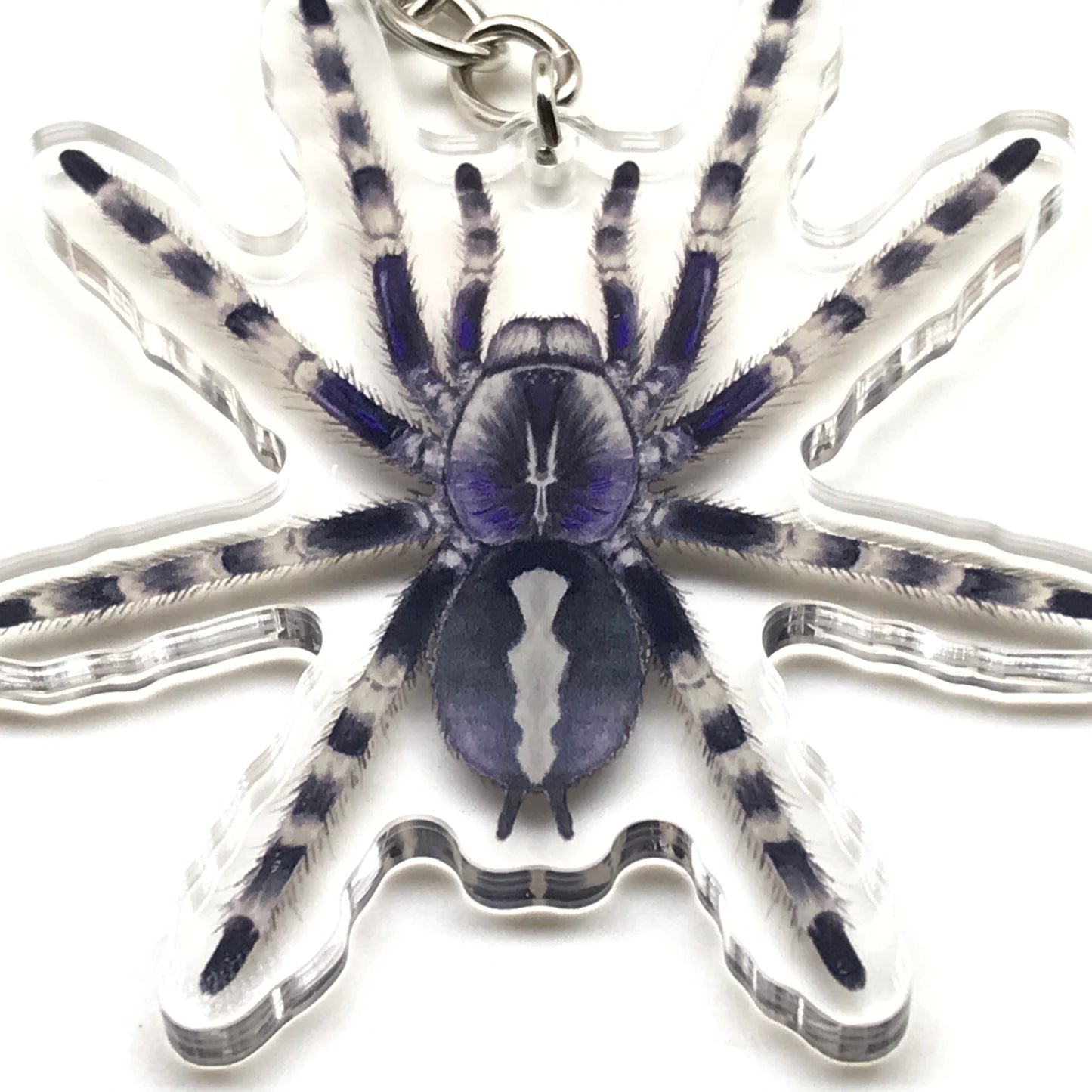 Salem Ornamental Tarantula keychain featuring a Poecilotheria Formosa acrylic charm, with detailed black and yellow coloring.