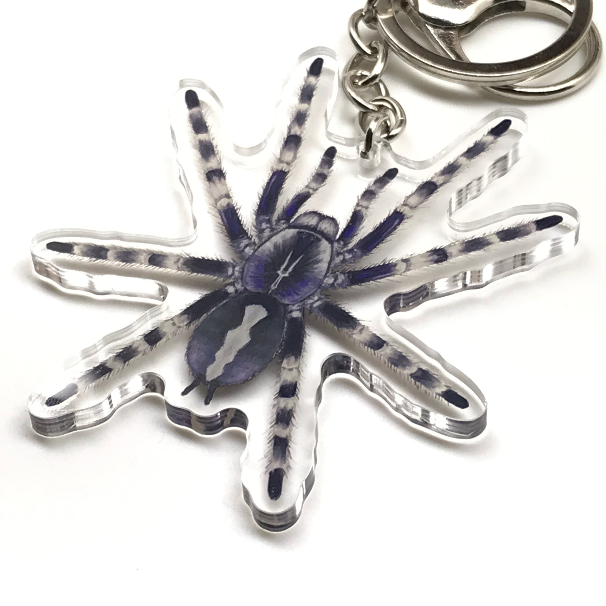 Salem Ornamental Tarantula keychain featuring Poecilotheria Formosa acrylic charm with intricate spider design on a clear background.