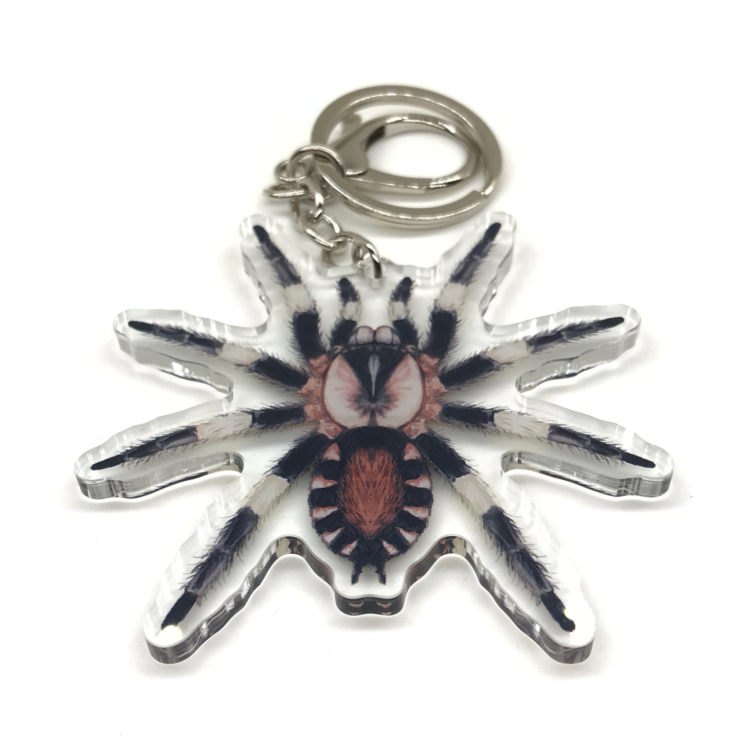 Peruvian black and white tarantula keychain featuring Cyriocosmus ritae acrylic charm on a silver keyring.