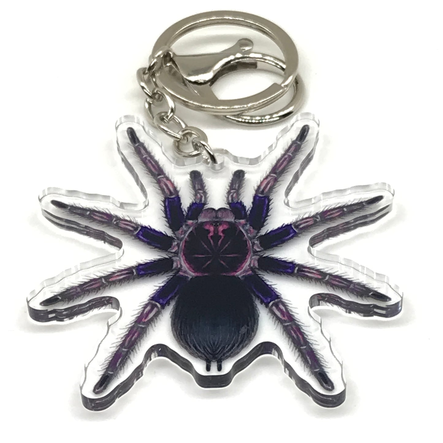 Ecuadorian Birdeater Tarantula Pamphobeteus Ultramarinus acrylic keychain with detailed spider design, new and durable accessory.