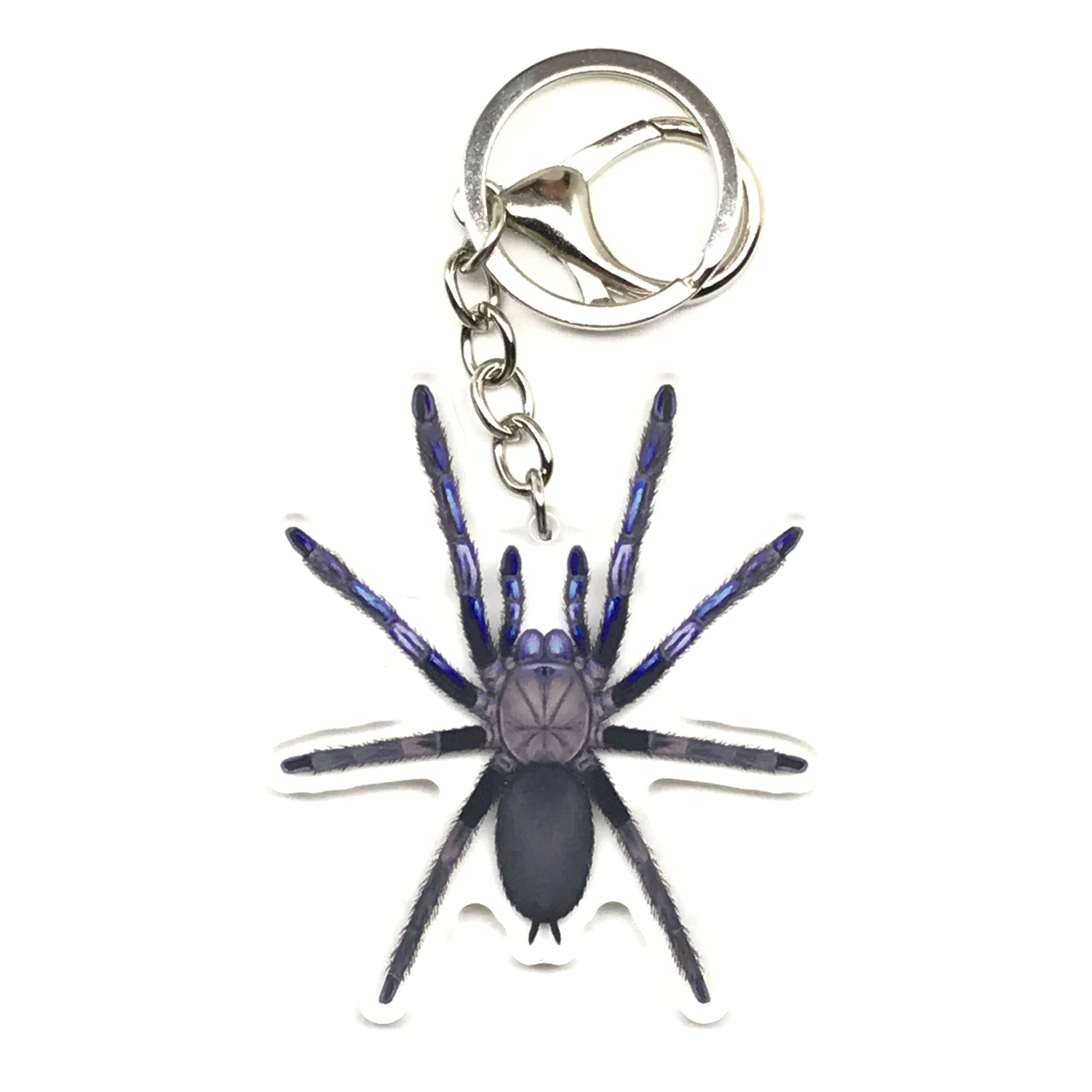 Electric blue tarantula keychain featuring Chilobrachys natanicharum acrylic charm, crafted by The Silk Ranch.