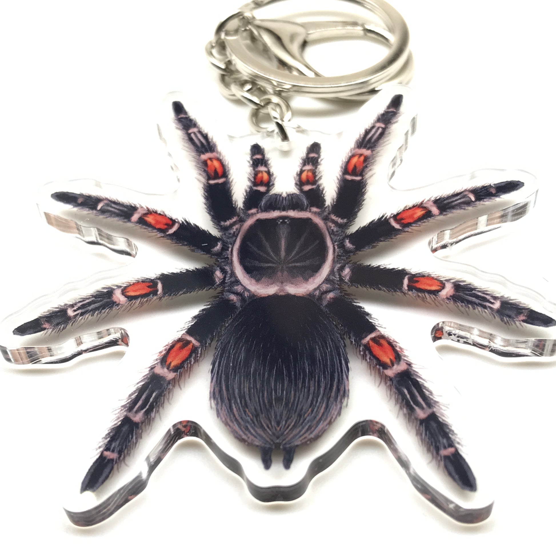 Mexican Flame Knee Tarantula keychain featuring Brachypelma auratum acrylic charm with detailed spider design on a keyring.