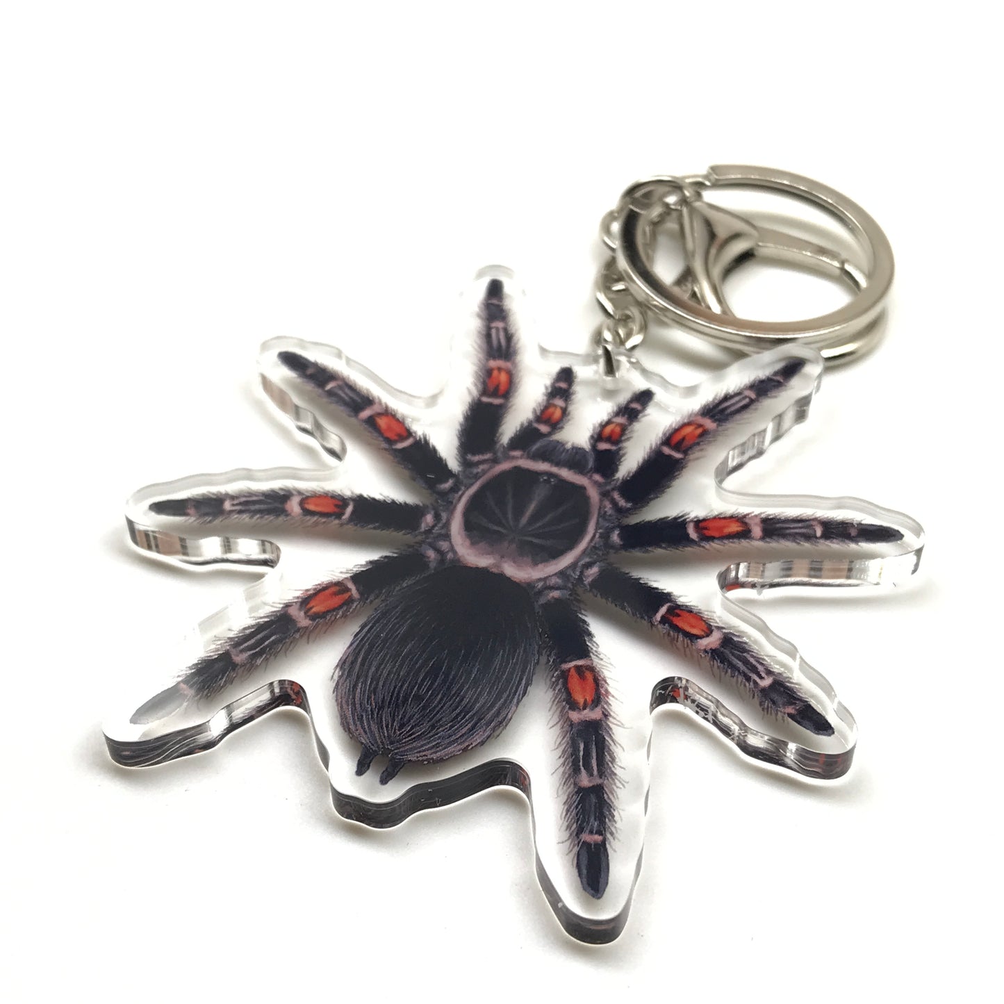Mexican Flame Knee Tarantula acrylic keychain featuring Brachypelma auratum spider charm on a transparent background.