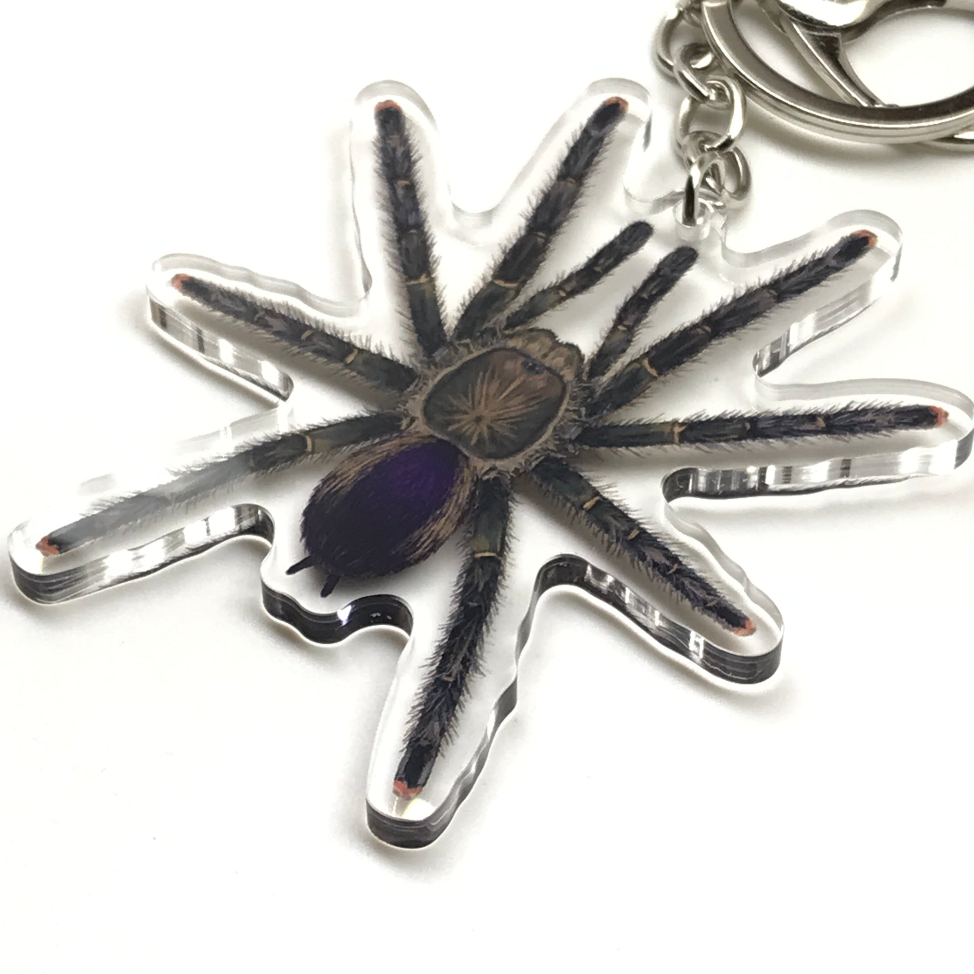 Pinktoe tarantula keychain featuring an acrylic charm of the Avicularia sp. Pucallpa, from The Silk Ranch Mardi Gras Pinktoe collection.