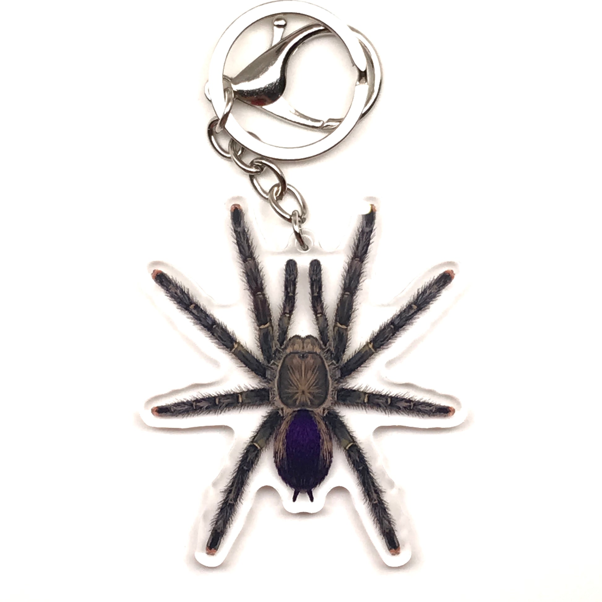 Pinktoe tarantula keychain by The Silk Ranch featuring an acrylic charm of Avicularia sp. Pucallpa on a pink background.