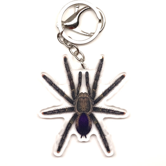 Mardi Gras Pinktoe Tarantula Keychain, Avicularia Sp. Pucallpa Acrylic Charm from The Silk Ranch