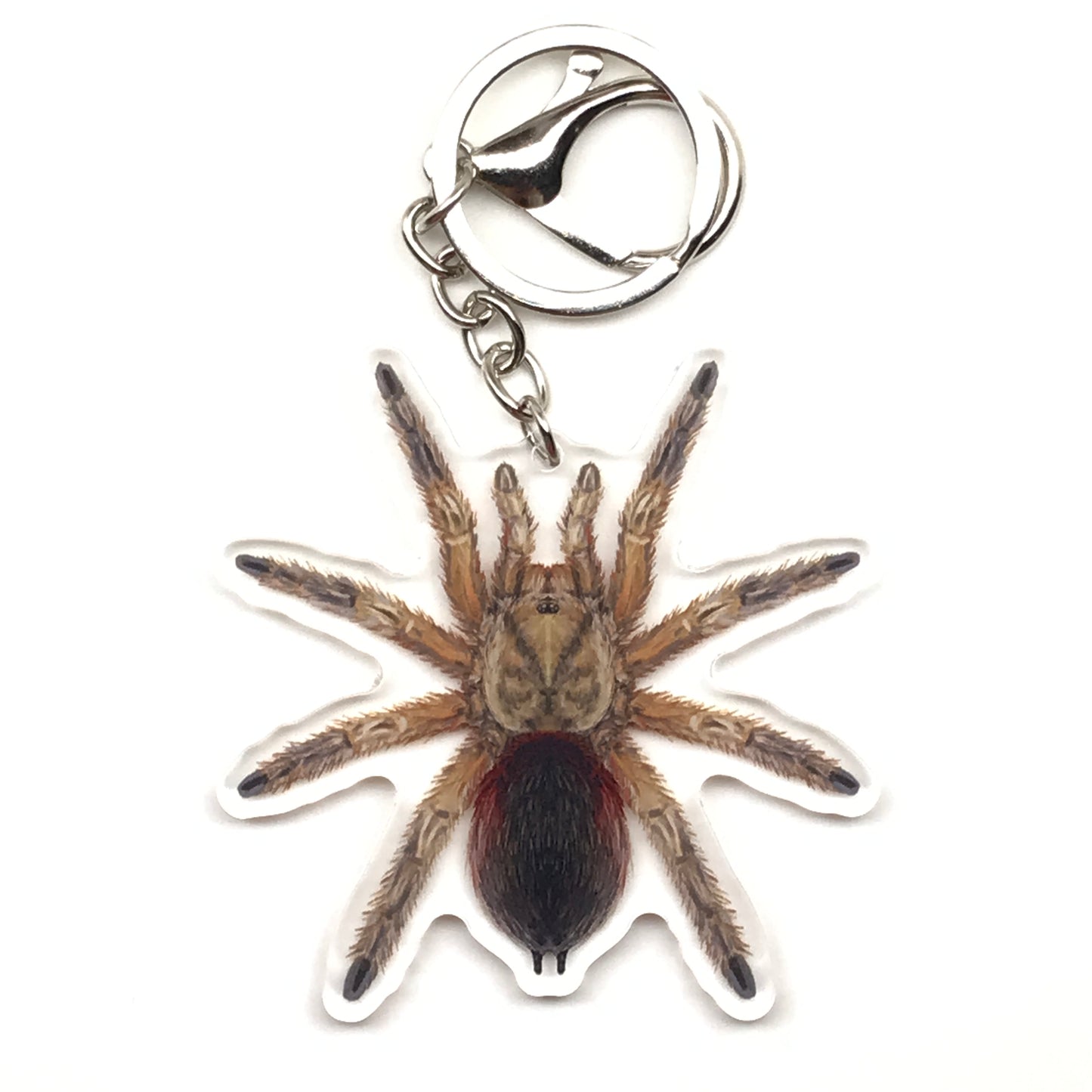 Chilean Golden Flame Tarantula keychain with Euathlus manicata gold acrylic charm, featuring vibrant yellow and black colors.