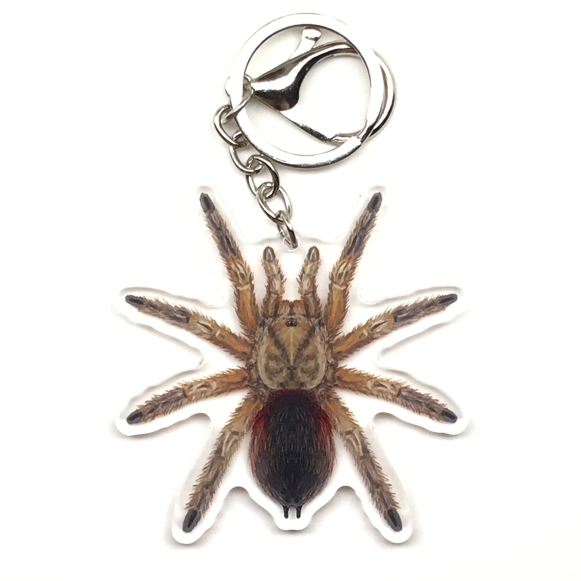 Chilean Golden Flame Tarantula keychain with Euathlus manicata gold acrylic charm, featuring vibrant yellow and black colors.