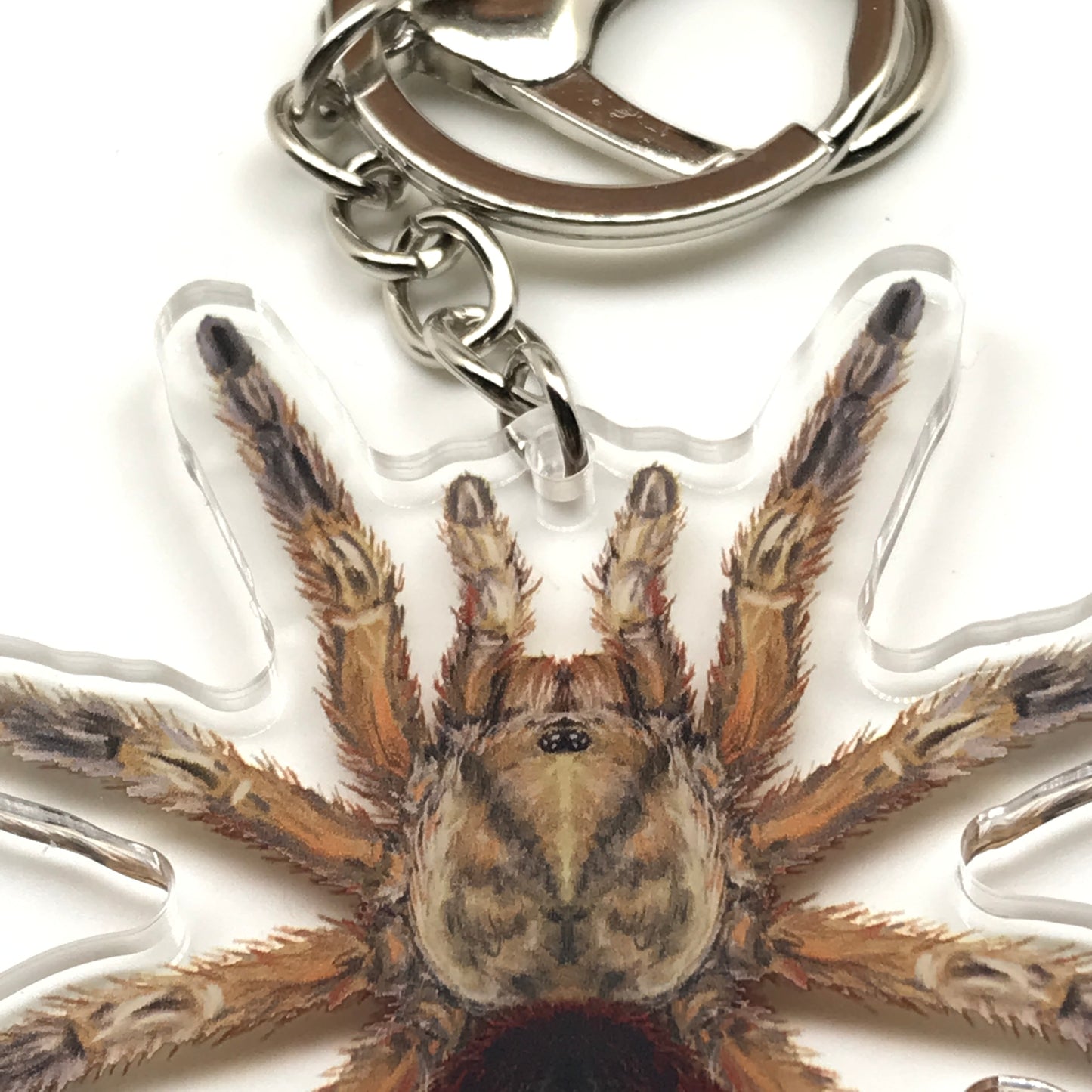 Chilean Golden Flame Tarantula keychain with Euathlus manicata gold acrylic charm, featuring detailed arachnid design.
