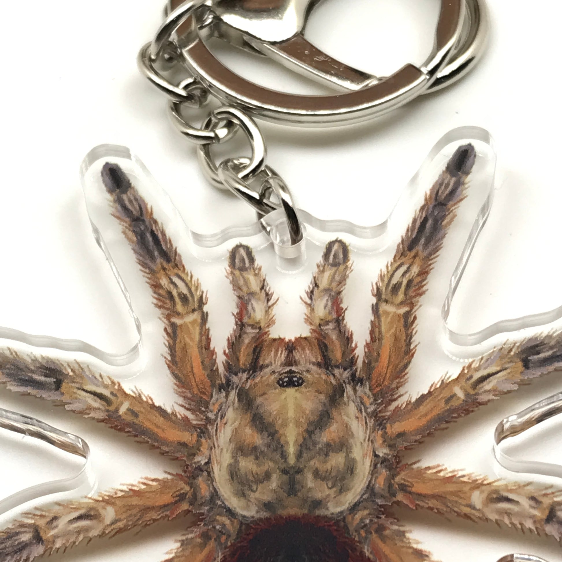 Chilean Golden Flame Tarantula keychain with Euathlus manicata gold acrylic charm, featuring detailed arachnid design.