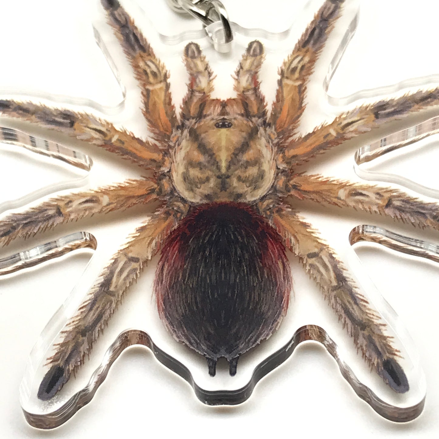 Chilean Golden Flame Tarantula keychain featuring Euathlus manicata gold acrylic charm with detailed spider design.