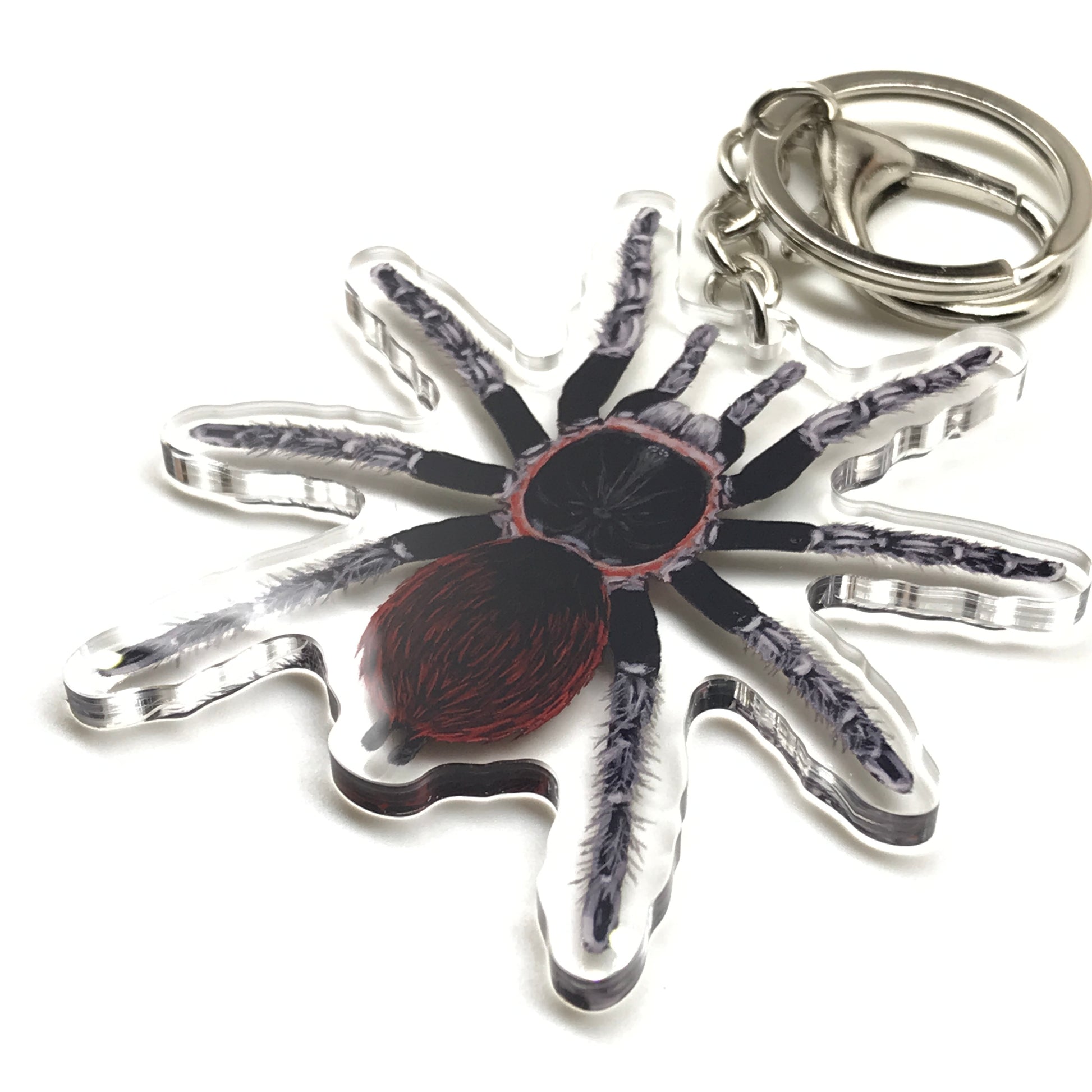 Acrylic keychain featuring a detailed Mexican Red Rump Tarantula (Tliltocatl Vagans) charm with vibrant red and black coloring.