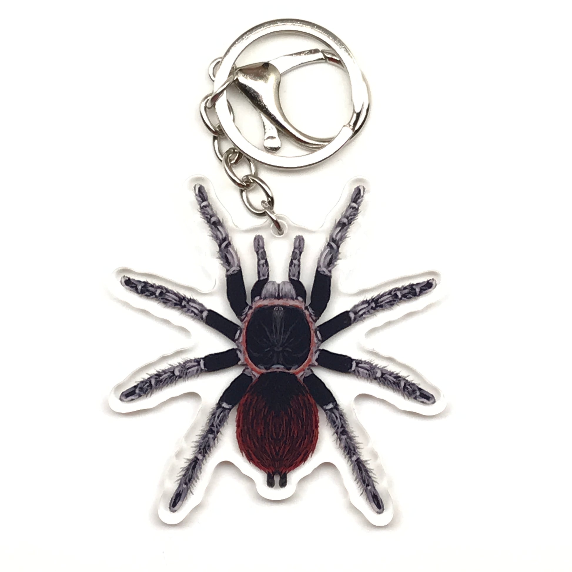 Mexican Red Rump Tarantula keychain featuring acrylic charm of Tliltocatl Vagans with detailed red and black coloring.