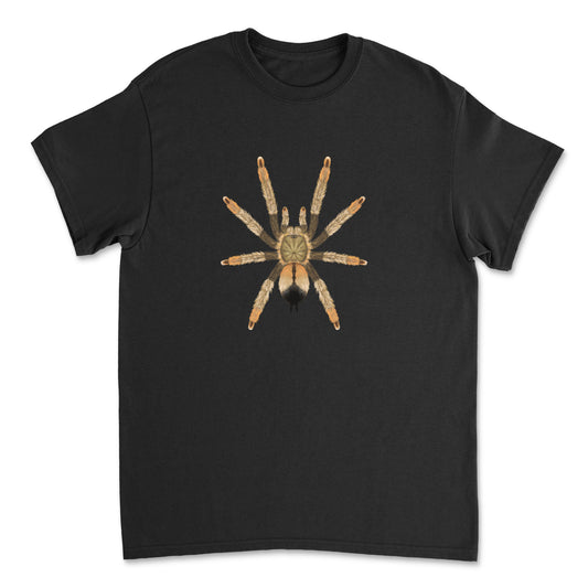 Light-colored Panama Blonde Tarantula art T-shirt by Mingo Art, featuring detailed spider illustration on a casual cotton t-shirt.