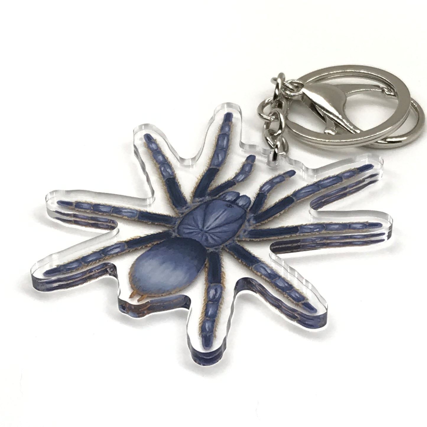 Vietnam Silver Tarantula Keychain, Ornithoctoninae sp. Vietnam Silver Acrylic Charm from The Silk Ranch