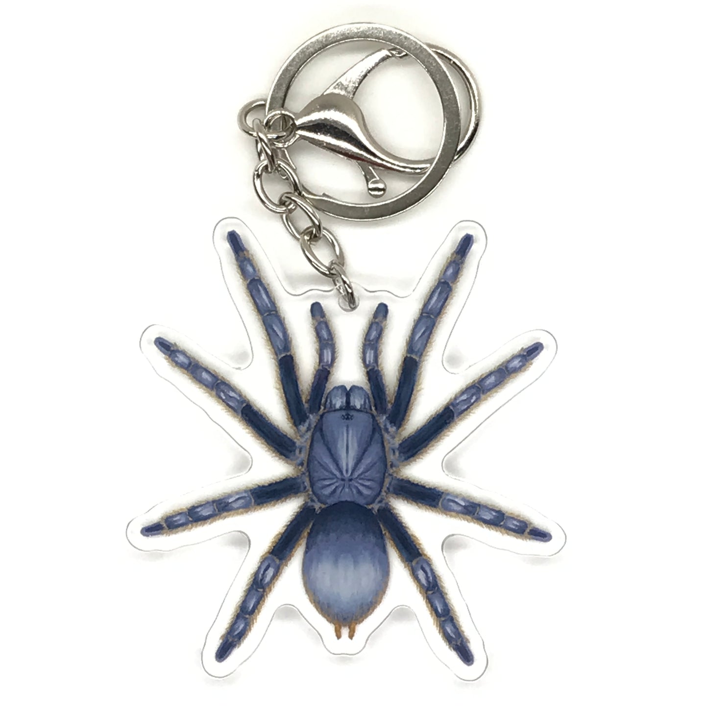 Vietnam Silver Tarantula Keychain, Ornithoctoninae sp. Vietnam Silver Acrylic Charm from The Silk Ranch