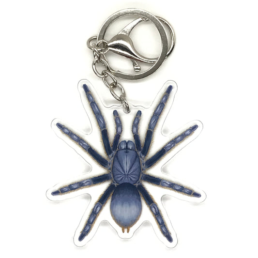 Vietnam Silver Tarantula Keychain, Ornithoctoninae sp. Vietnam Silver Acrylic Charm from The Silk Ranch
