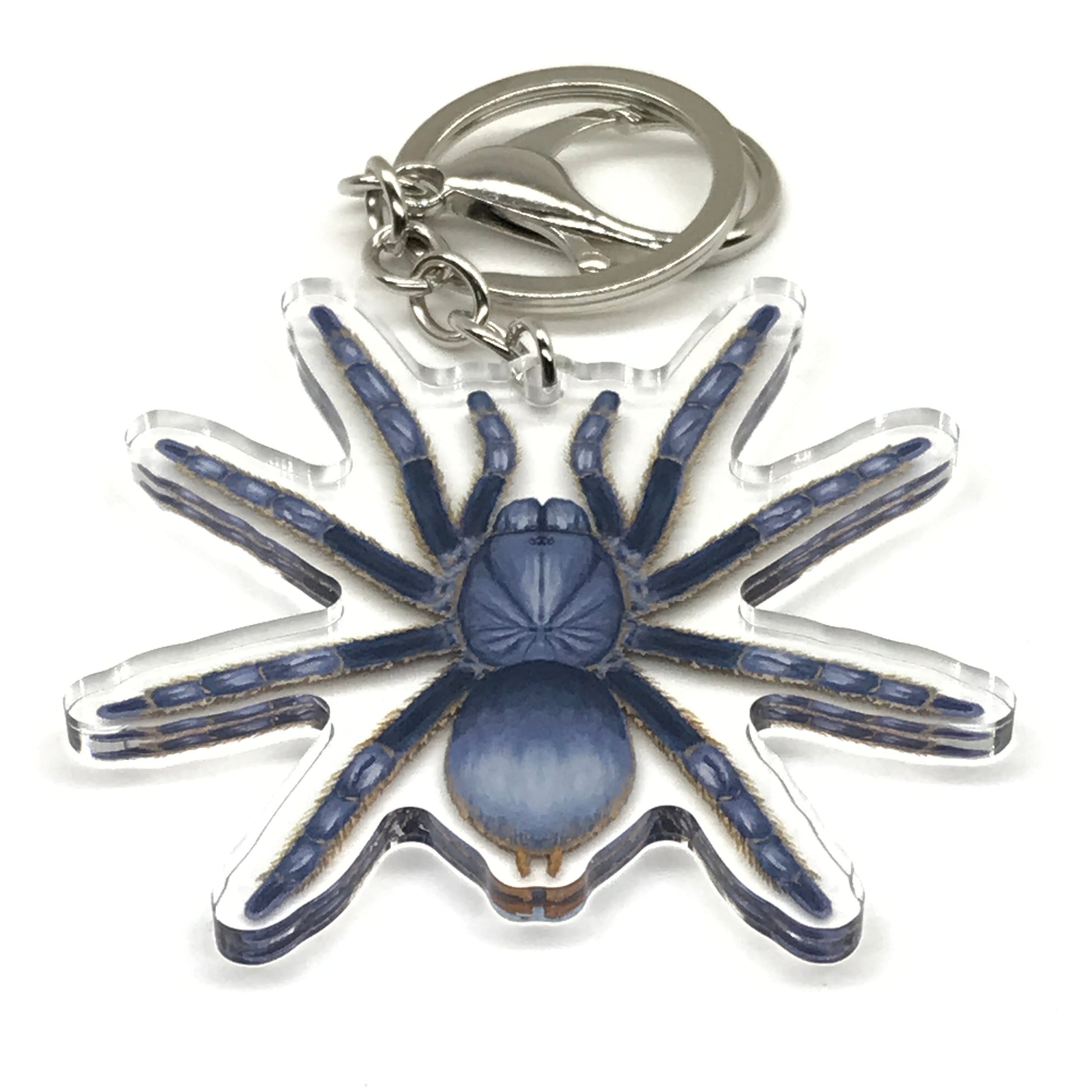Vietnam Silver Tarantula Keychain, Ornithoctoninae sp. Vietnam Silver Acrylic Charm from The Silk Ranch