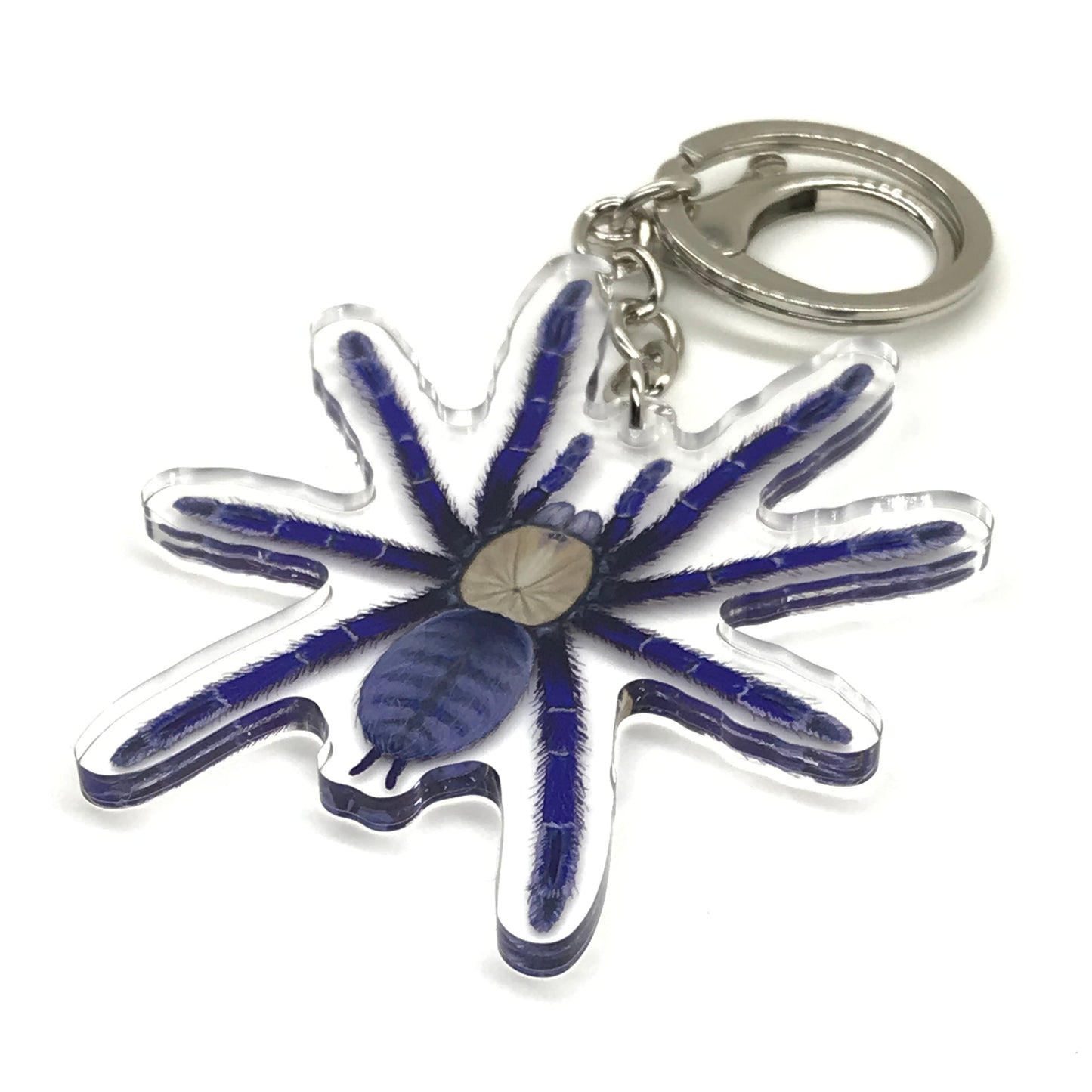 Singapore Blue Tarantula Keychain, Omothymus Violaceopes Acrylic Charm from The Silk Ranch
