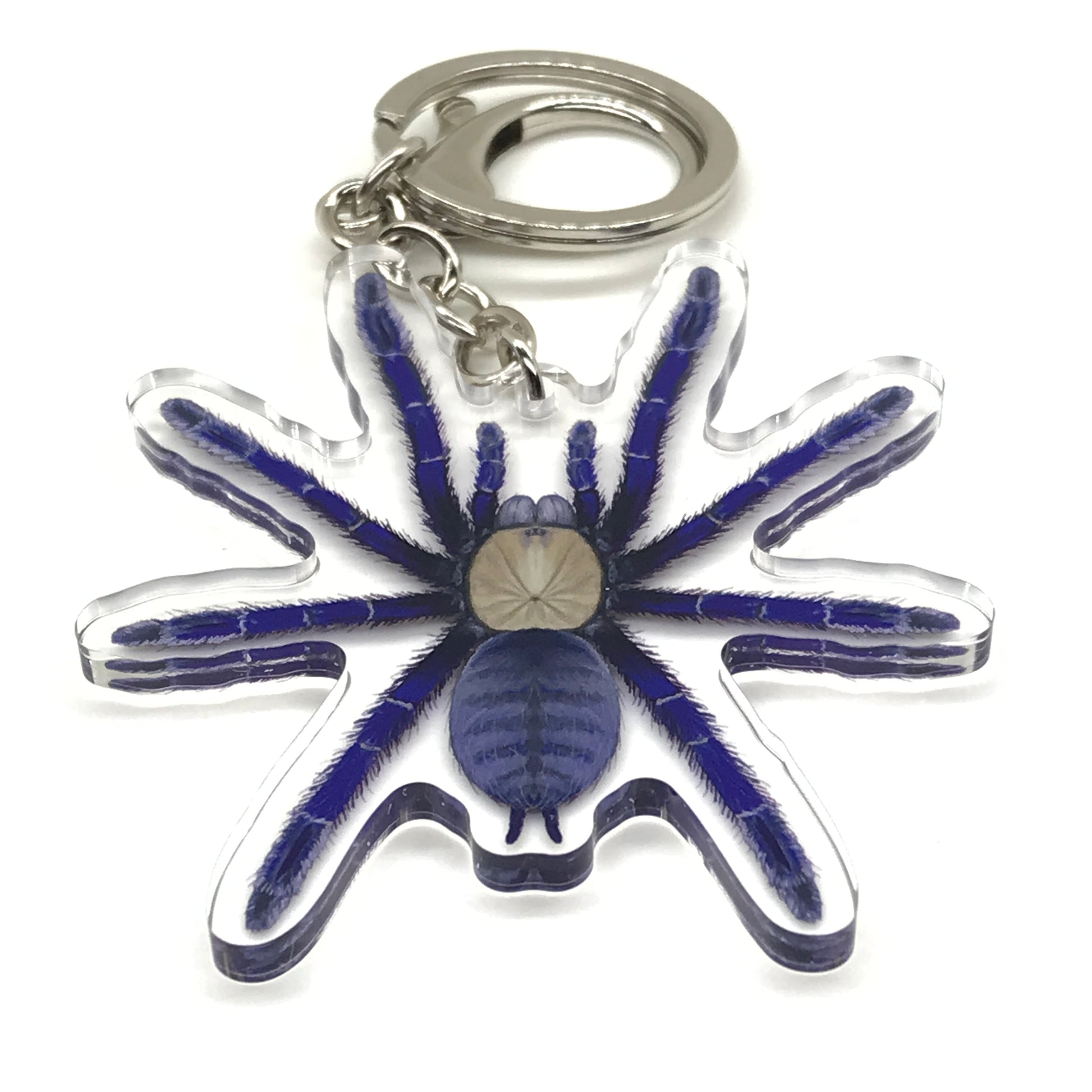 Singapore Blue Tarantula Keychain, Omothymus Violaceopes Acrylic Charm from The Silk Ranch