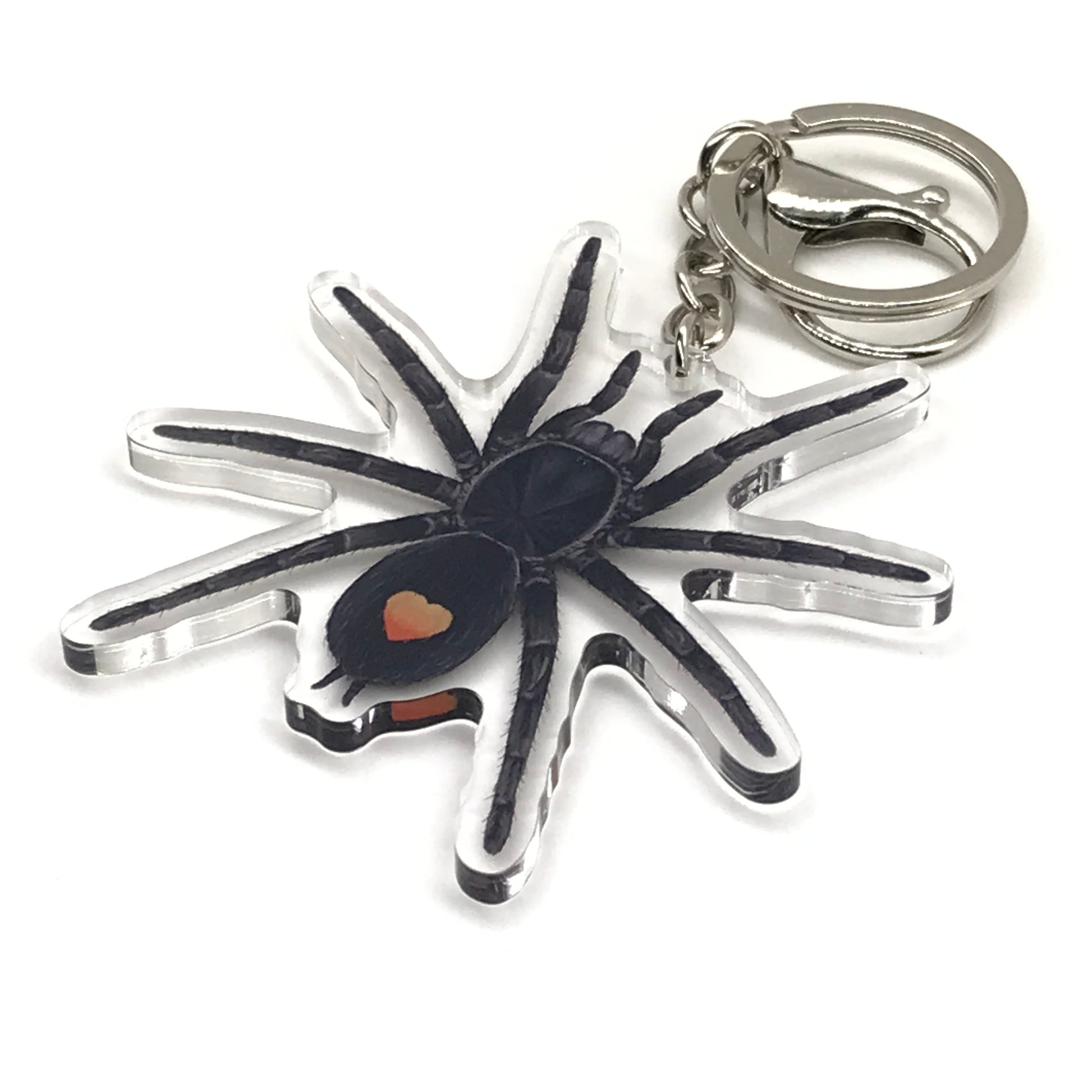 Golden Heart Dwarf Tarantula Keychain, Cyriocosmus sp. Oronegro Acrylic Charm from The Silk Ranch