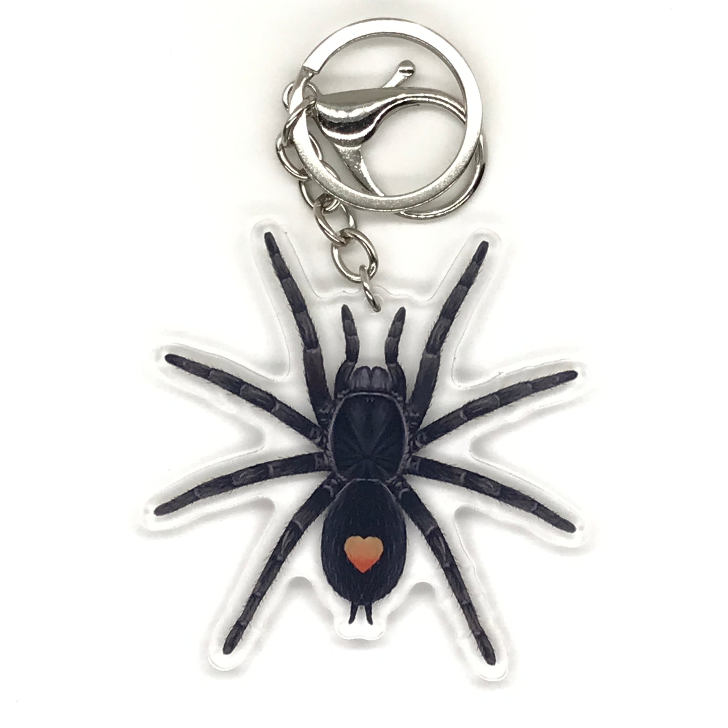Golden Heart Dwarf Tarantula Keychain, Cyriocosmus sp. Oronegro Acrylic Charm from The Silk Ranch