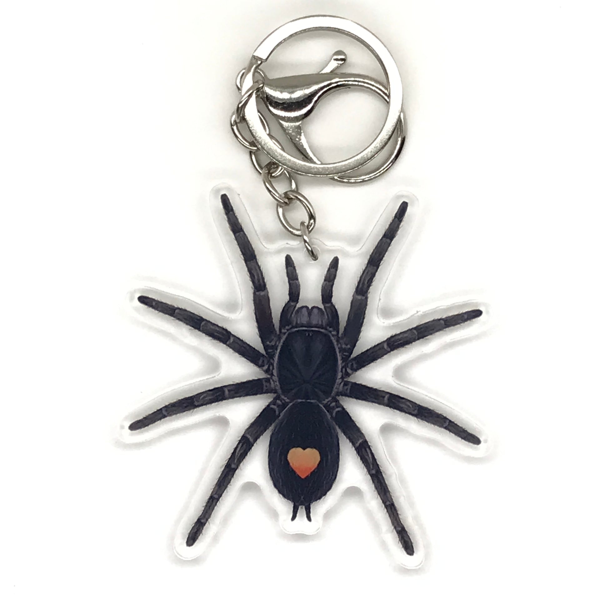 Golden Heart Dwarf Tarantula Keychain, Cyriocosmus sp. Oronegro Acrylic Charm from The Silk Ranch