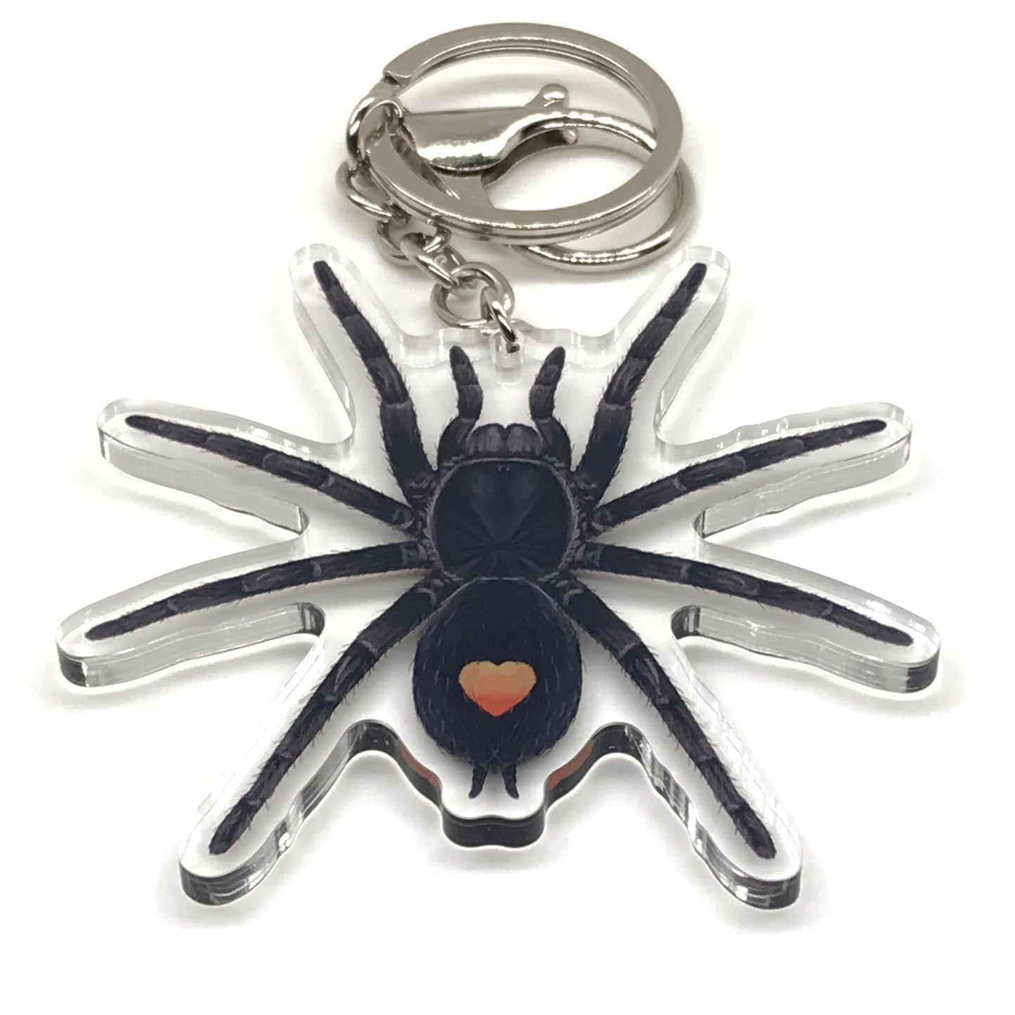 Golden Heart Dwarf Tarantula Keychain, Cyriocosmus sp. Oronegro Acrylic Charm from The Silk Ranch