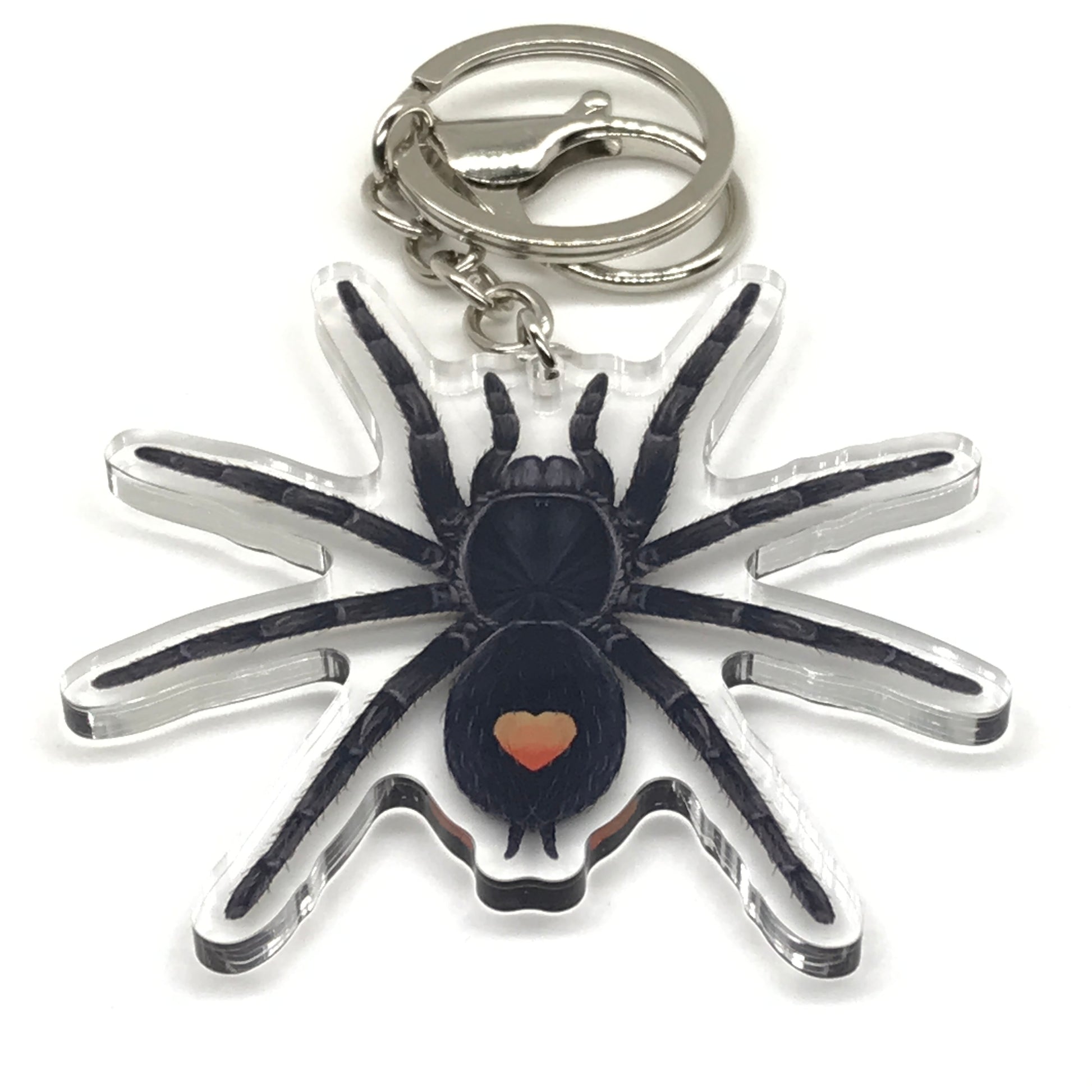 Golden Heart Dwarf Tarantula Keychain, Cyriocosmus sp. Oronegro Acrylic Charm from The Silk Ranch