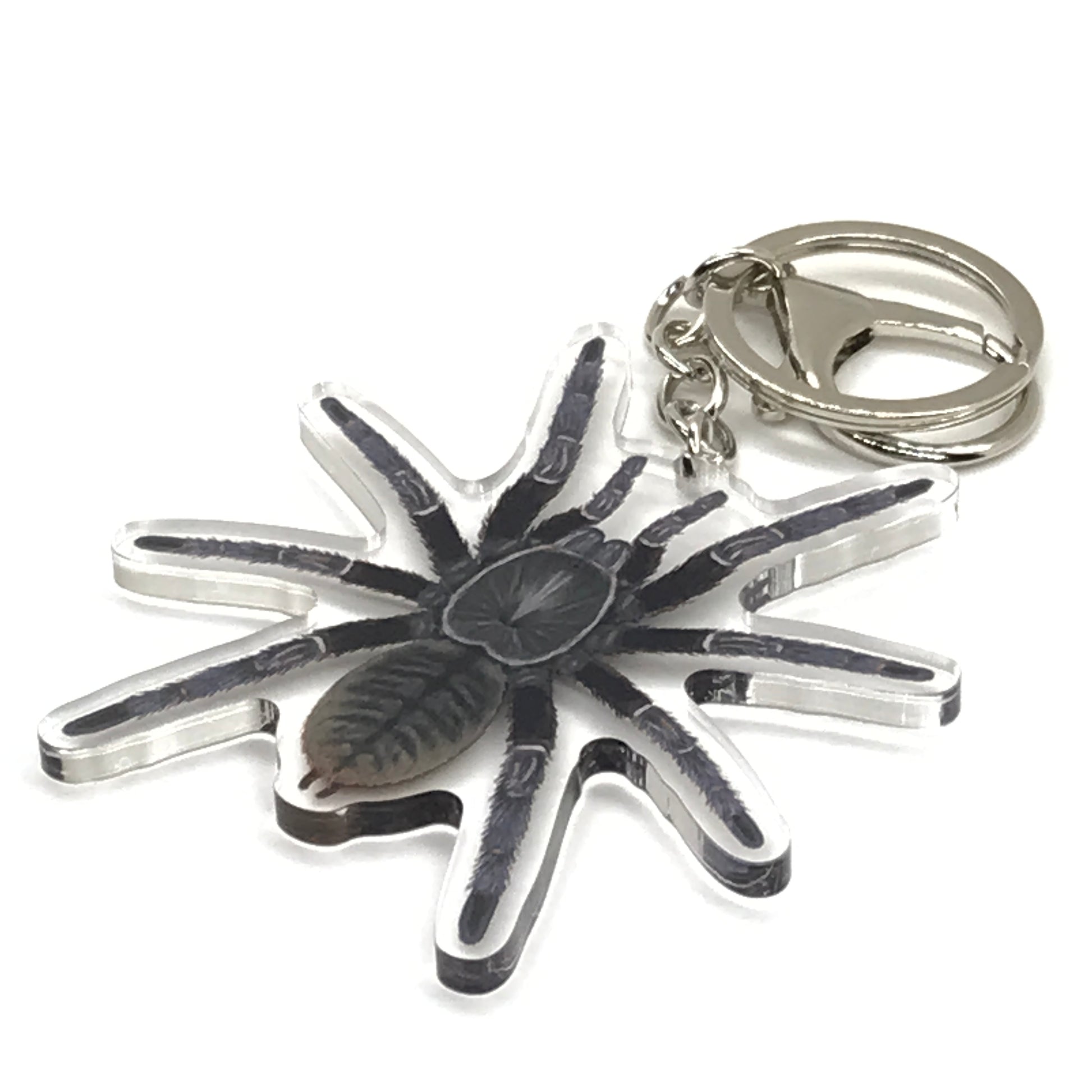 Chinese Black Earth Tiger Tarantula Keychain, Cyriopagopus Hainanus Acrylic Charm from The Silk Ranch
