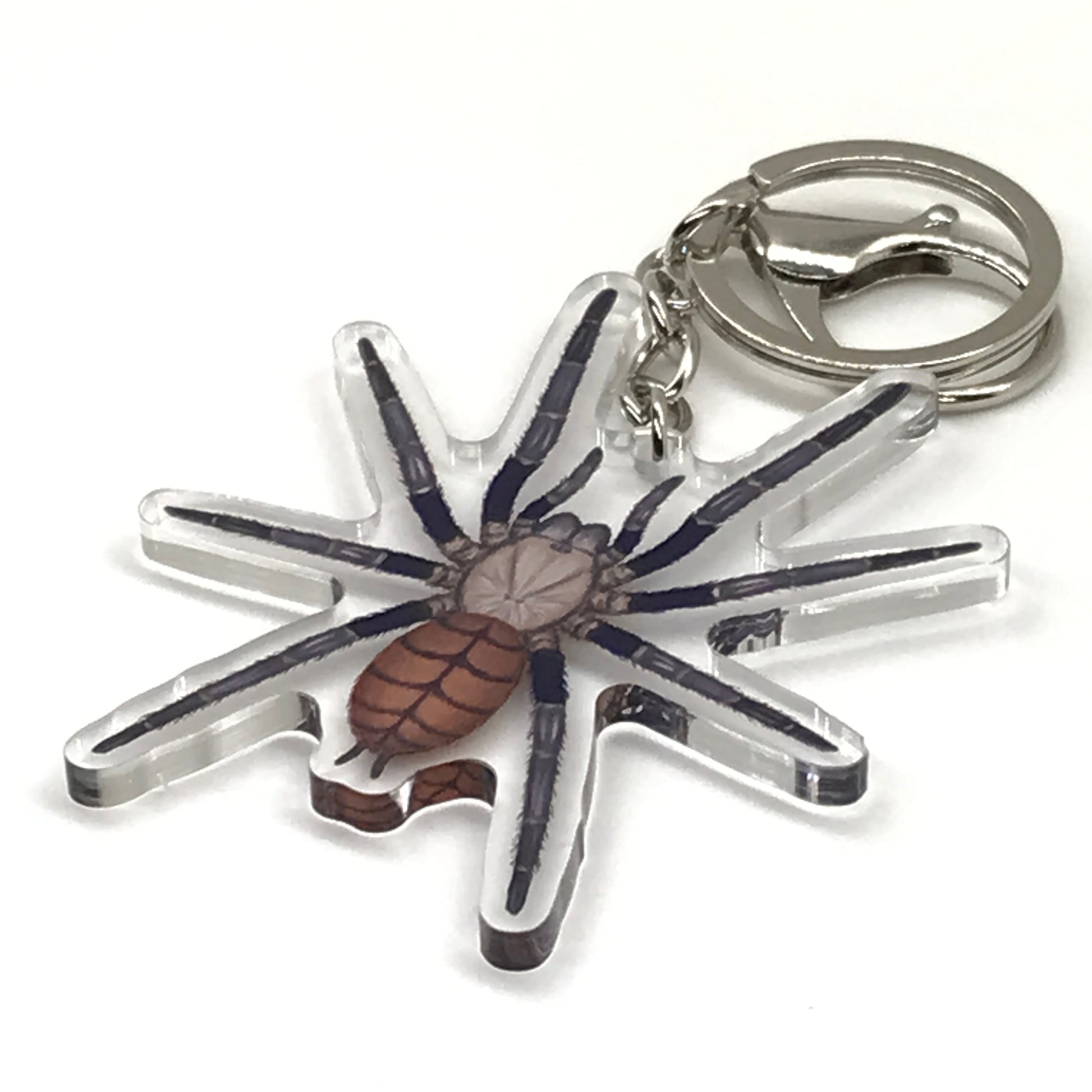 Indian Violet Tarantula Keychain, Chilobrachys Fimbriatus Acrylic Charm from The Silk Ranch