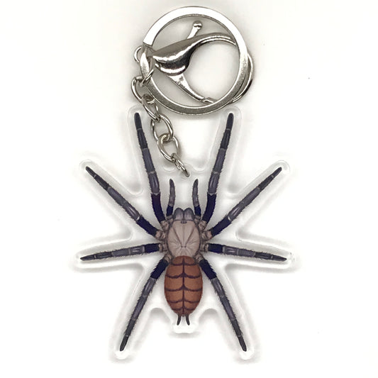 Indian Violet Tarantula Keychain, Chilobrachys Fimbriatus Acrylic Charm from The Silk Ranch