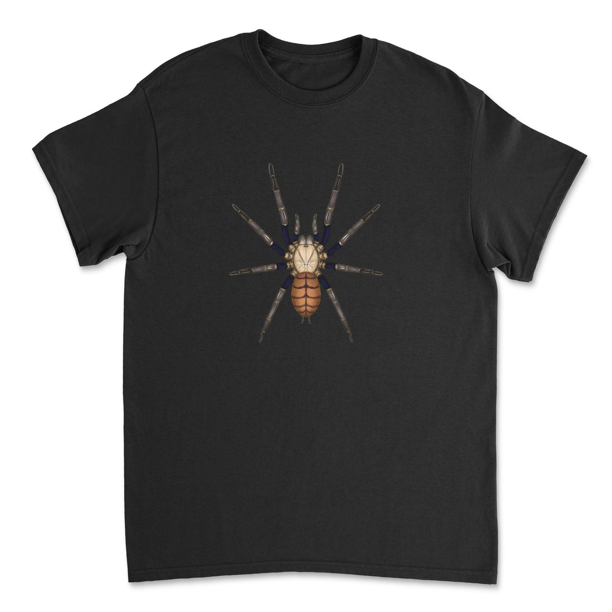 Indian Violet Tarantula art T-shirt featuring a detailed illustration of Chilobrachys fimbriatus on a comfortable Gildan shirt