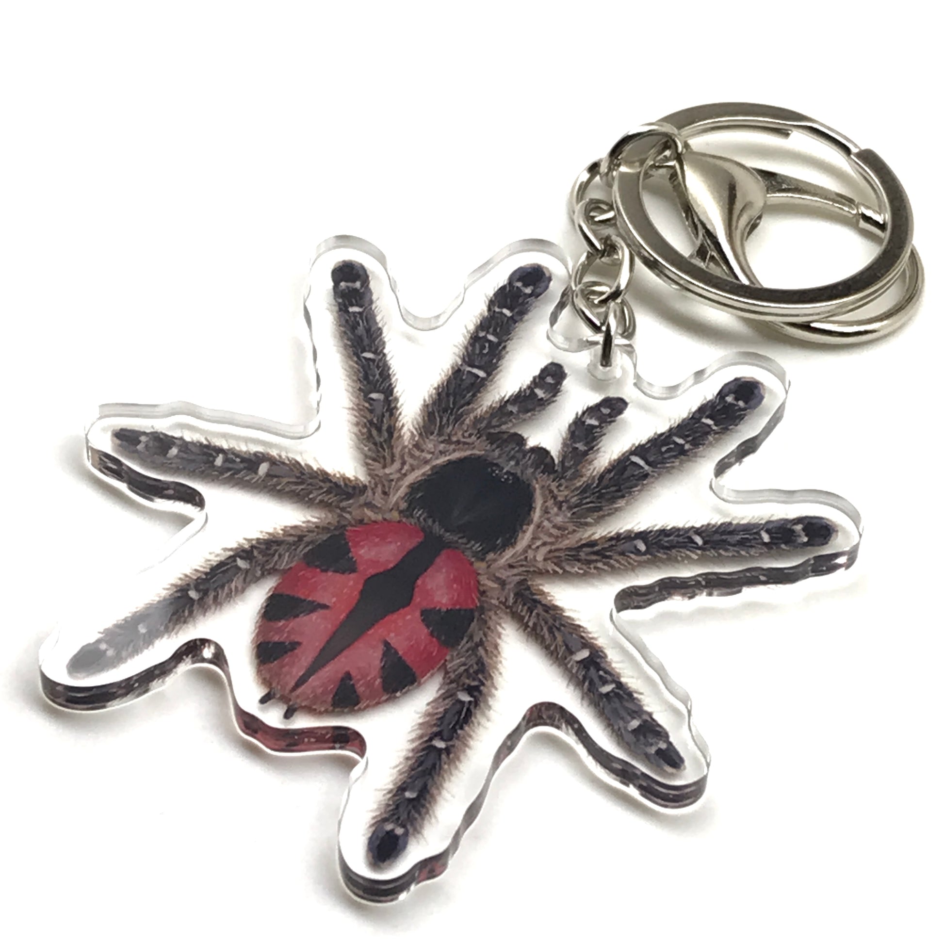 Paraiba Jewel Tarantula keychain featuring Typhochlaena Curumim acrylic charm, vibrant blue-green spider design, The Silk Ranch.