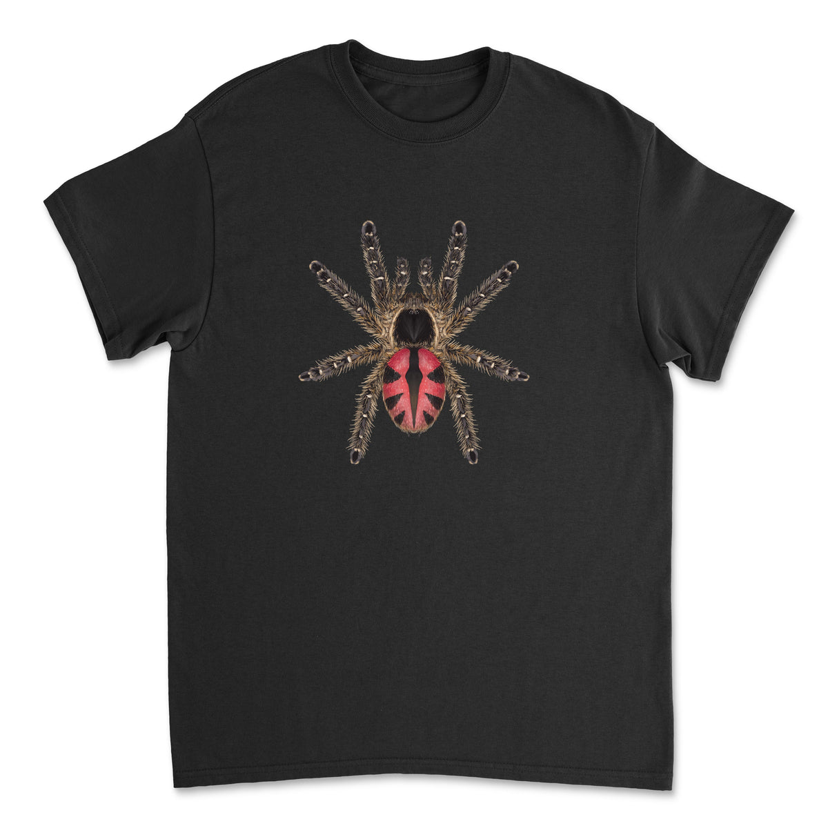 Paraiba Jewel Tarantula T-Shirt by Mingo Art featuring a detailed illustration of Typhochlaena curumim on a casual t-shirt.