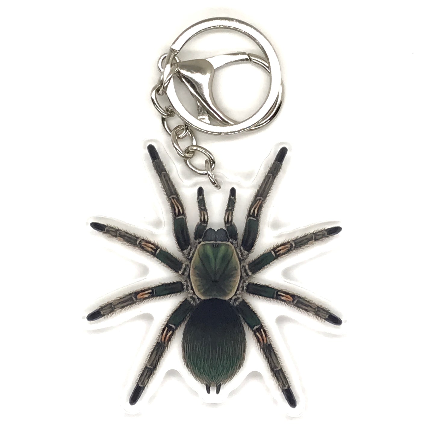 Peruvian Green Velvet Tarantula keychain with Ewok Pruriens acrylic charm from The Silk Ranch, featuring detailed green velvet spider design.